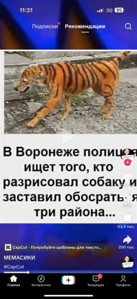 Коты это всегда хорошо! Но можно ещë по другому это обыграть)