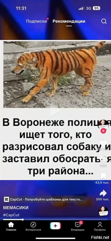 Коты это всегда хорошо! Но можно ещë по другому это обыграть)