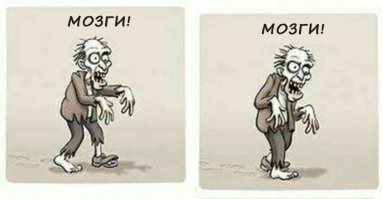 Мозги! Мозги!