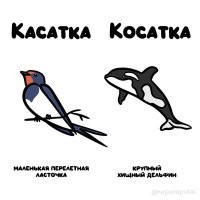Так и не понял, как боту конкурировать собрался с маленькой птичкой? Автор: