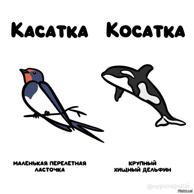 Так и не понял, как боту конкурировать собрался с маленькой птичкой? Автор: