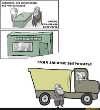 Кот ответственно стережёт кукурузу