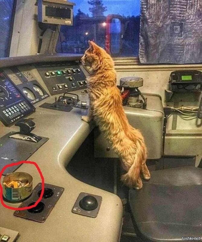 Меня больше насторожило, что кот курит в кабине. )))