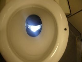 Смелое дизайнерское решение в туалете