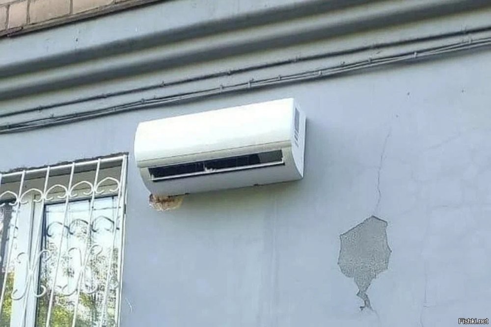 Смелое дизайнерское решение в туалете