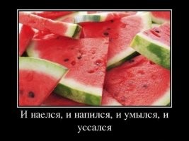 Не ищите здесь смысл. Здесь в основном маразм