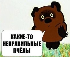 Что они на стадионе забыли...