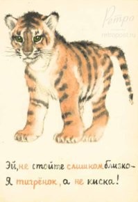 В Мексике тигр вцепился в ветеринара