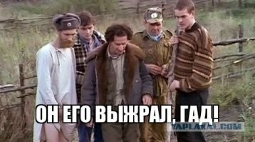 В Башкирии медведь разворошил всю пасеку охотничьего инспектора
