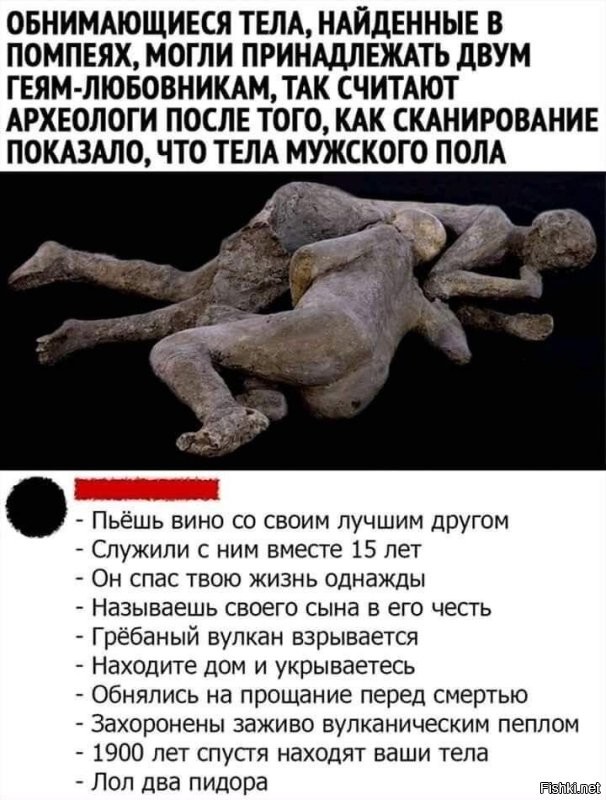 Помпеи, 79... Два друга жили душа в душу с детства. Вместе выросли, прошли войну, сражались плечом к плечу. Гуляли на свадьбах друг у друга. Их дети вместе гуляли...
И тут начинается извержение вулкана. Видя, что уже не спастись, один друг прибегает в дом другого и говорит:
- Достойную жизнь мы с тобой прожили, но теперь пришло наше время. Давай обнимемся на прощание!

Прошли годы... Века... Тысячелетия... Археологи откапывают из пепла небольшой дом и находят два обнимающихся мужских скелета.
- О! Смотри! Гомики!