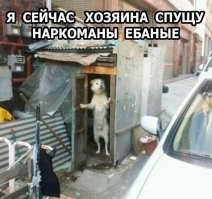 Большая тарелка улыбатора