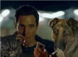 Жуткое нападение амурского тигра на человека попало на камеры в провинции Хэйлунцзян