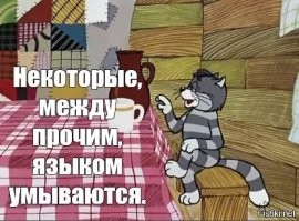 Австралиец заменил пивом воду во всём доме