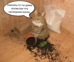 Политическая рубрика от&nbsp;NAZARETH за&nbsp;05.09.25. Новости, события, комментарии - 1894