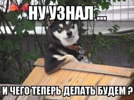 Большая тарелка улыбатора