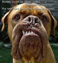 Большая тарелка улыбатора