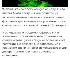 Ученые запихнули люминофор в растение. 

Зачем? В чём сакральный смысл? 

Ведь это не само растение светится, а тот самый люминофор. 
Зачем его в растение пихать, можно просто покрасить стену. 

А, да, такое уже давно придумано.