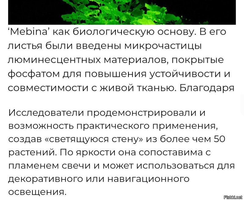 Ученые запихнули люминофор в растение. 

Зачем? В чём сакральный смысл? 

Ведь это не само растение светится, а тот самый люминофор. 
Зачем его в растение пихать, можно просто покрасить стену. 

А, да, такое уже давно придумано.