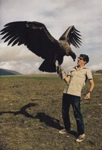 Такой вот птенец грифа...