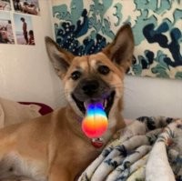 18 картинок, которые выглядят как фотошоп, но это настоящие фото!