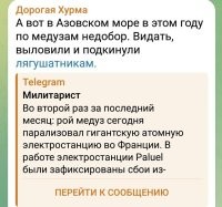 По словам знакомых с азовского побережья, медуз там и в этом году, мягко говоря,  хватало.
