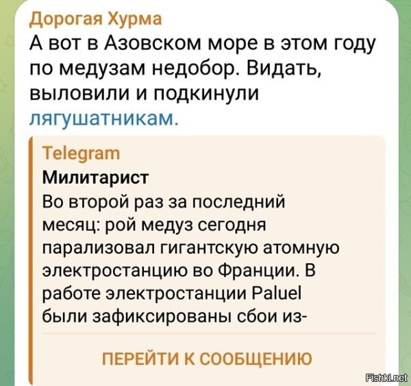 По словам знакомых с азовского побережья, медуз там и в этом году, мягко говоря,  хватало.