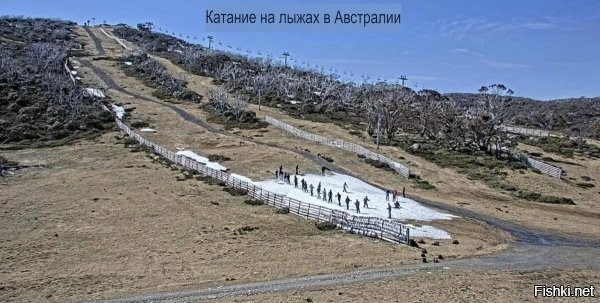 На общую тему&nbsp;