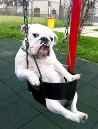 Демотиваторы для всех