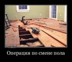 Демотиваторы для всех