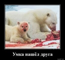 Демотиваторы для всех
