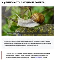 кстати, не британские ученые.