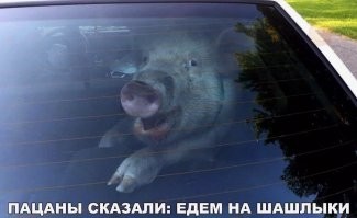 Скрины из соцсетей