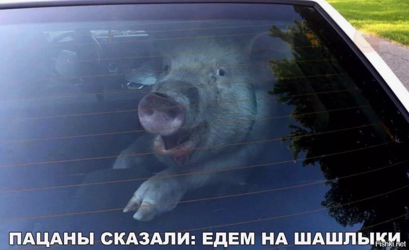 Скрины из соцсетей