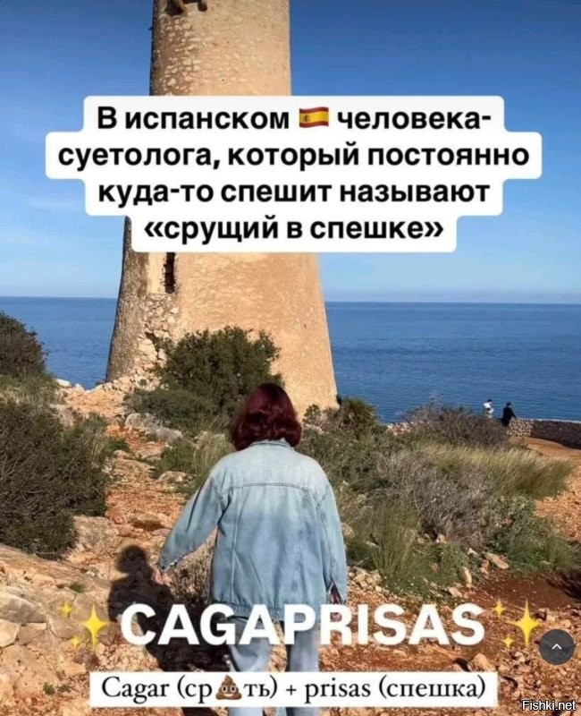 Солянка от 08.09.2025