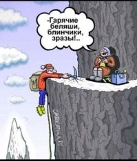 Бездомная собака покорила Эльбрус