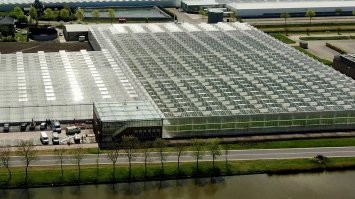 Вот теплицы, а то что на видео в этом посте какой то приусадебный участок