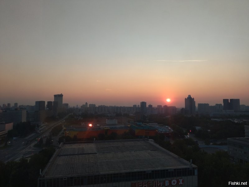 Солянка от 08.09.2025