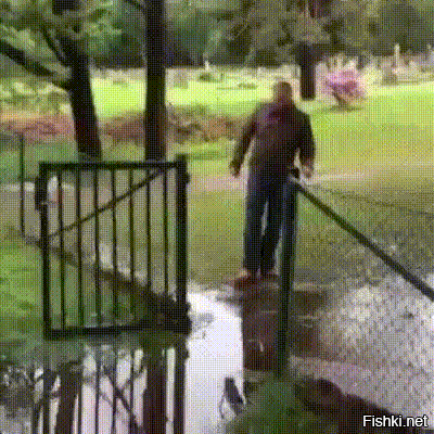Просто гифки, всякие и&nbsp;разные