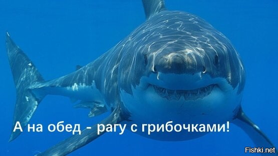 Мужчина отправился в заплыв по Тихому океану на грибном каяке