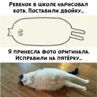 Намешалось