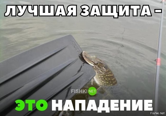 Солянка от 09.09.2025