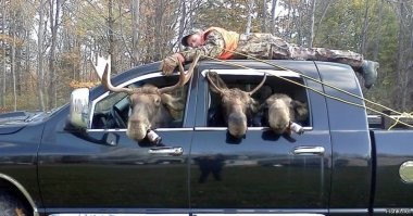 Тореадор получил штраф за невнимательность