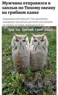 Мужчина отправился в заплыв по Тихому океану на грибном каяке
