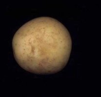 В Минске тоже снимали.