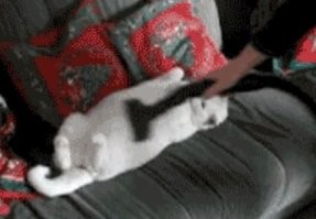 Вот только хотел бы я знать, пылесос включен или просто так начёсывает? Мои разбегаются только от одного вида этого шумящего монстра!