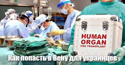 Несколько фоток с Вены