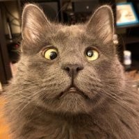 офигеть, бедные китайчёнки