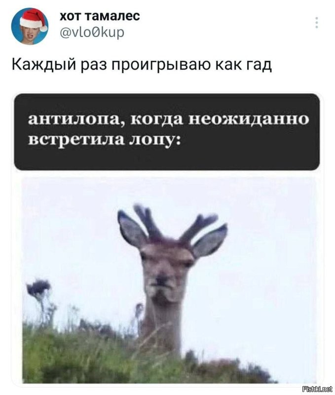 Не ищите здесь смысл. Здесь в основном маразм
