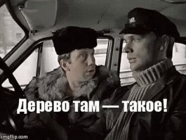 Это он ещё Джентльмены удачи не смотрел.