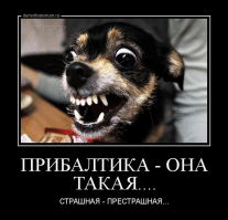 Политика , политика